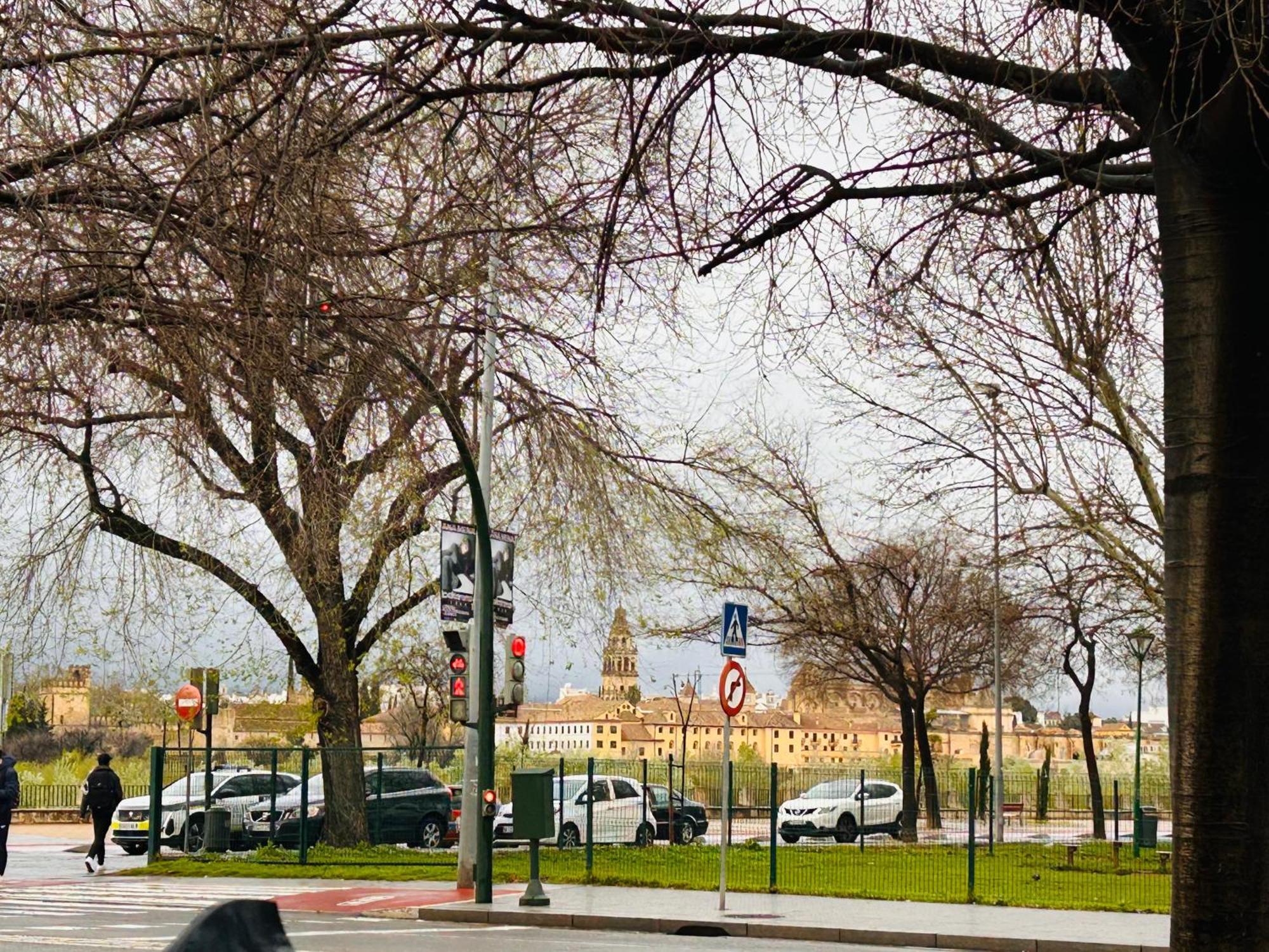 Plaza De Andalucia Home Con Parking Cordoba Dış mekan fotoğraf